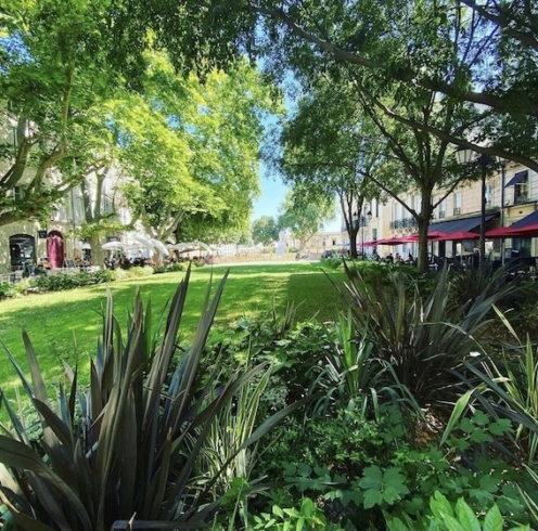 place-de-la-canourgue-montpellier